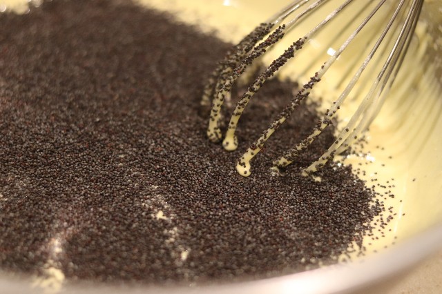 f:id:gemomoge:20191015191932j:image