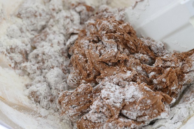 f:id:gemomoge:20210622145219j:image