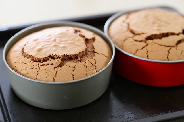 f:id:gemomoge:20210622145313j:image