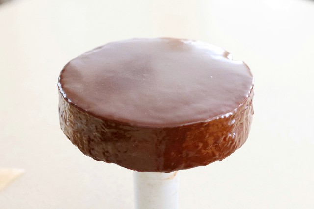 f:id:gemomoge:20210622145714j:image