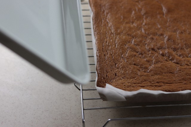 f:id:gemomoge:20211108193832j:image f:id:gemomoge:20211108193832j:image