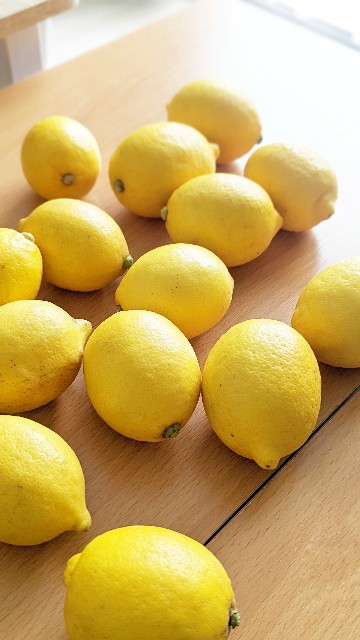 f:id:gemomoge:20220510201723j:image f:id:gemomoge:20220510201723j:image