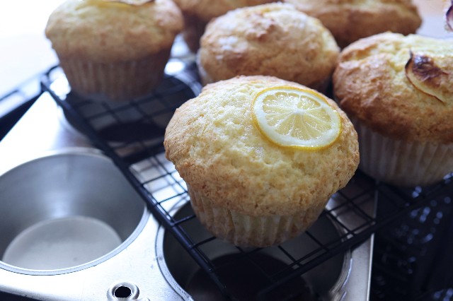 f:id:gemomoge:20220510203204j:image f:id:gemomoge:20220510203204j:image