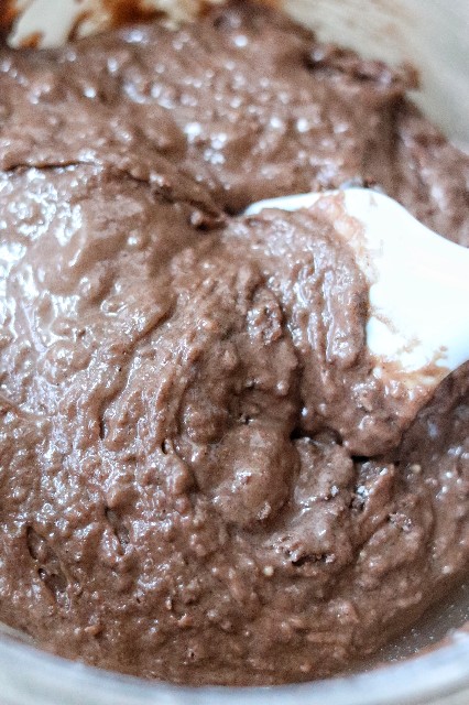 f:id:gemomoge:20230123181005j:image