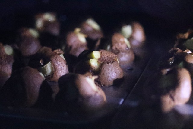 f:id:gemomoge:20230123181030j:image