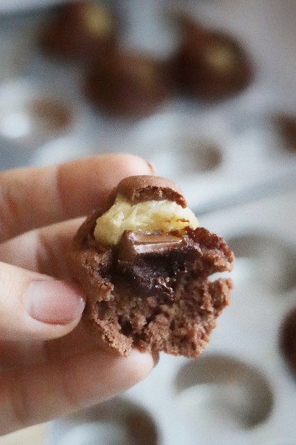 f:id:gemomoge:20230123181103j:image