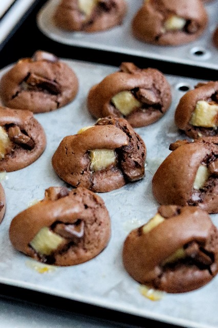 f:id:gemomoge:20230123181155j:image