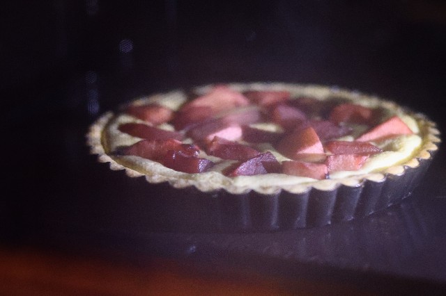 f:id:gemomoge:20231002114245j:image