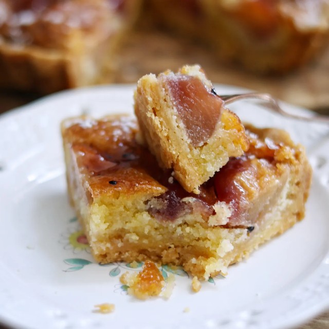 f:id:gemomoge:20231002114359j:image