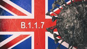 f:id:gempathy:20210308112455j:plain