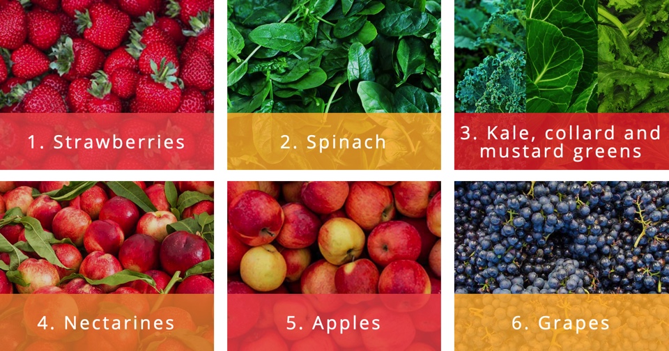 f:id:gempathy:20210323112245j:plain