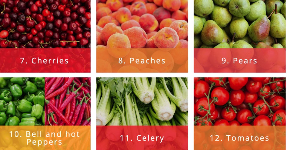 f:id:gempathy:20210323112458j:plain