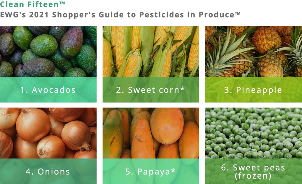 f:id:gempathy:20210323112609j:plain