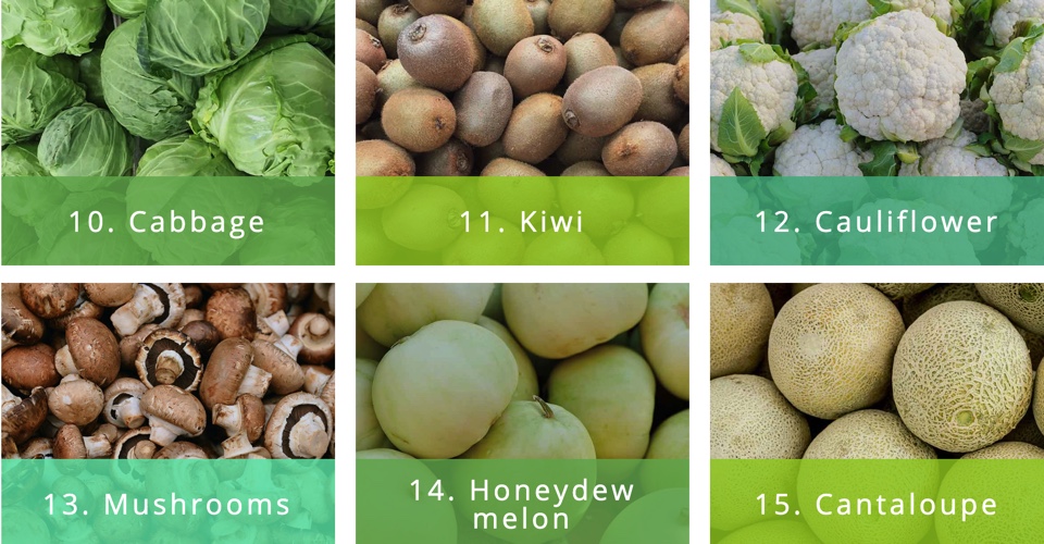 f:id:gempathy:20210323112628j:plain