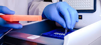 f:id:gempathy:20210407125941j:plain