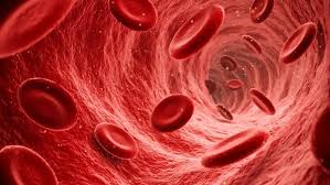 f:id:gempathy:20210414120252j:plain