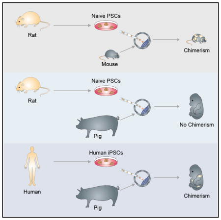 f:id:gempathy:20210419112643j:plain