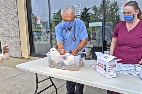 f:id:gempathy:20210506120555j:plain