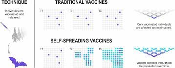 f:id:gempathy:20210506120654j:plain