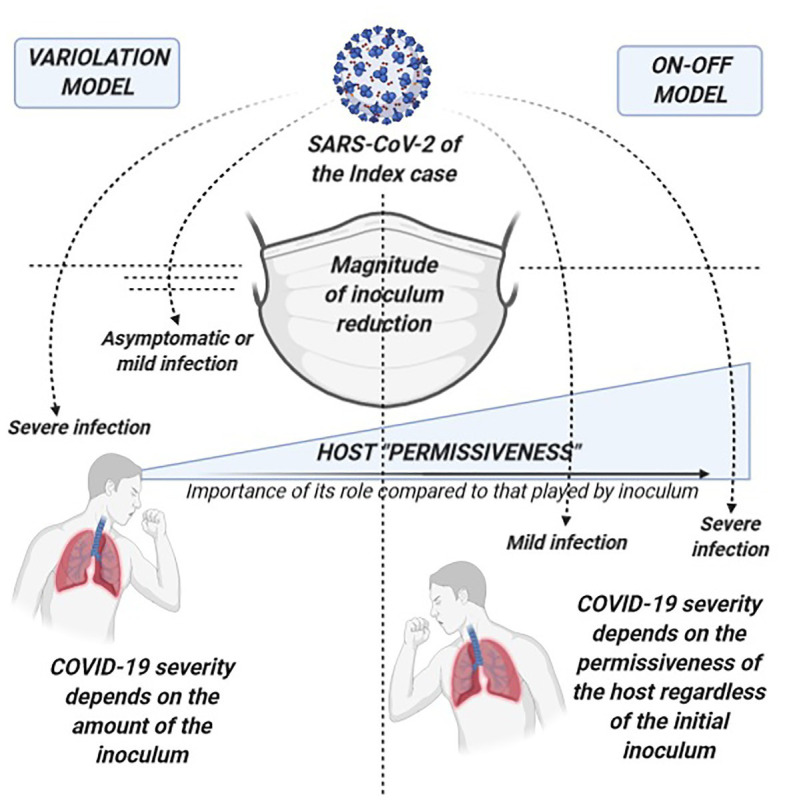 f:id:gempathy:20210519131742j:plain