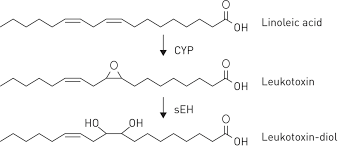 f:id:gempathy:20210524113618p:plain