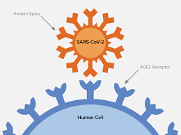 f:id:gempathy:20210525124433p:plain