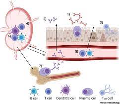 f:id:gempathy:20210526111732j:plain