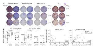 f:id:gempathy:20210526111800j:plain