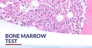 f:id:gempathy:20210526111815j:plain