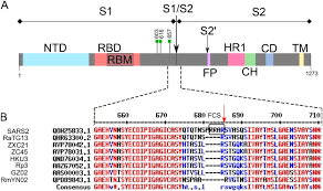 f:id:gempathy:20210528120204p:plain