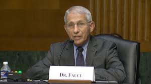 f:id:gempathy:20210528120320j:plain