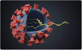 f:id:gempathy:20210528120431j:plain