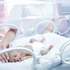 f:id:gempathy:20210529113804j:plain