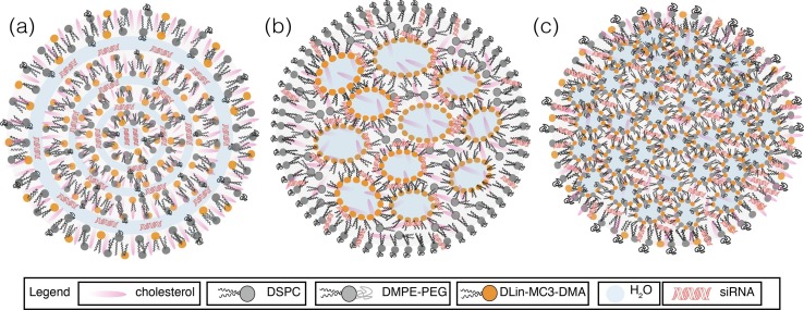 f:id:gempathy:20210722123610j:plain
