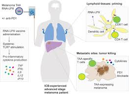 f:id:gempathy:20210824114000j:plain