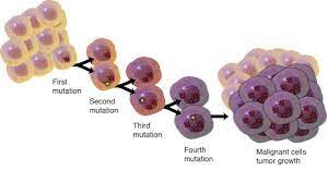 f:id:gempathy:20210824114032j:plain