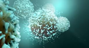 f:id:gempathy:20210830122357j:plain