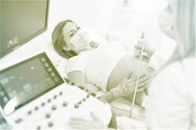 f:id:gempathy:20210923074403j:plain