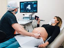 f:id:gempathy:20210923074435j:plain