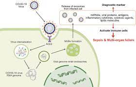 f:id:gempathy:20211020100925j:plain