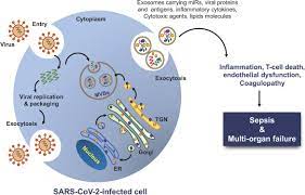 f:id:gempathy:20211020100942j:plain