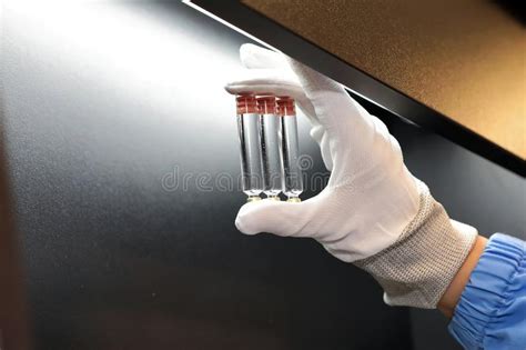 f:id:gempathy:20211022113404j:plain