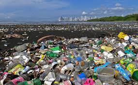 f:id:gempathy:20211109113050j:plain