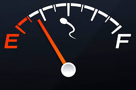 f:id:gempathy:20211109113115j:plain