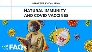 f:id:gempathy:20211117103943j:plain