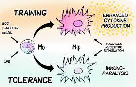 f:id:gempathy:20220107070115j:plain