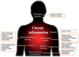 f:id:gempathy:20220107070754j:plain