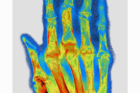 f:id:gempathy:20220111081310j:plain