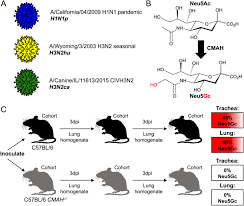 f:id:gempathy:20220114103239p:plain