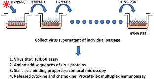 f:id:gempathy:20220114103316p:plain